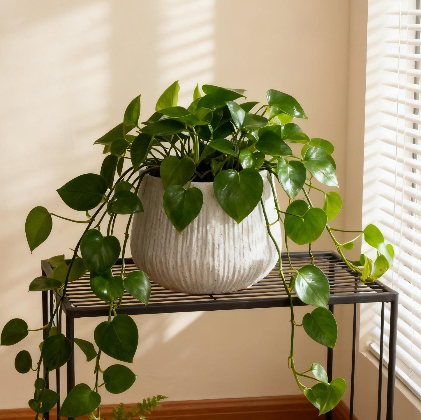 Noma Ribbed Modern Planter