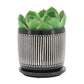 Vertical Lines Planters, Set of 2