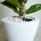 White Self-watering Planter Pots, Set of 2
