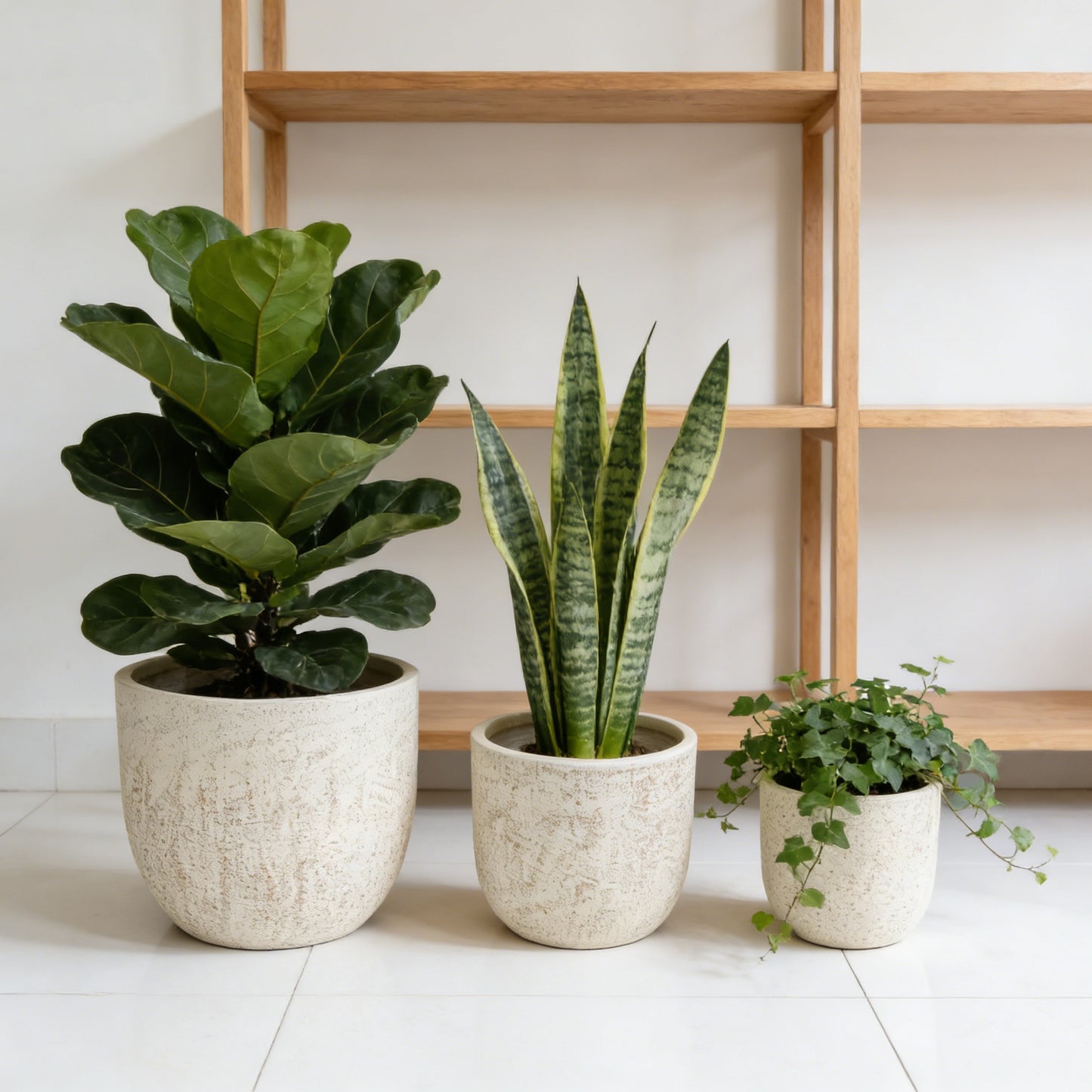 Liora Textured Modern Planter Set of 3