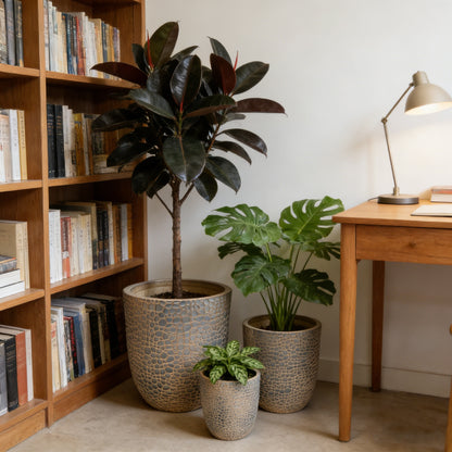 Alden Textured Planter Set