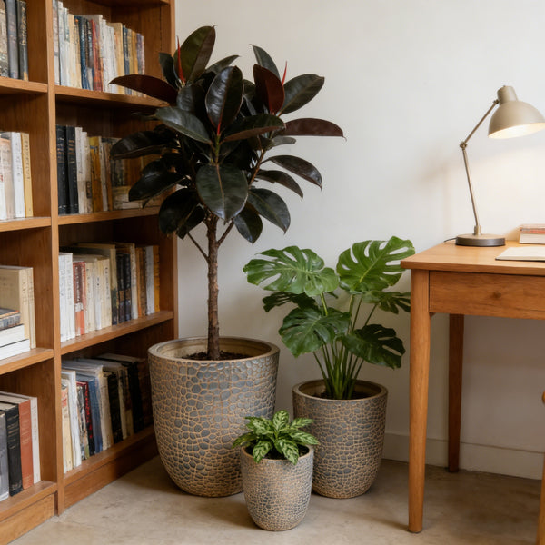 Alden Textured Planter Set