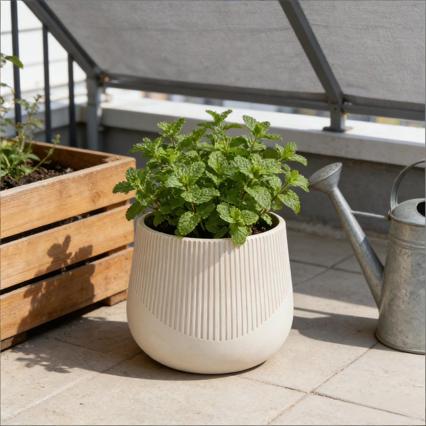 Solenne Ribbed Planter Set of 3
