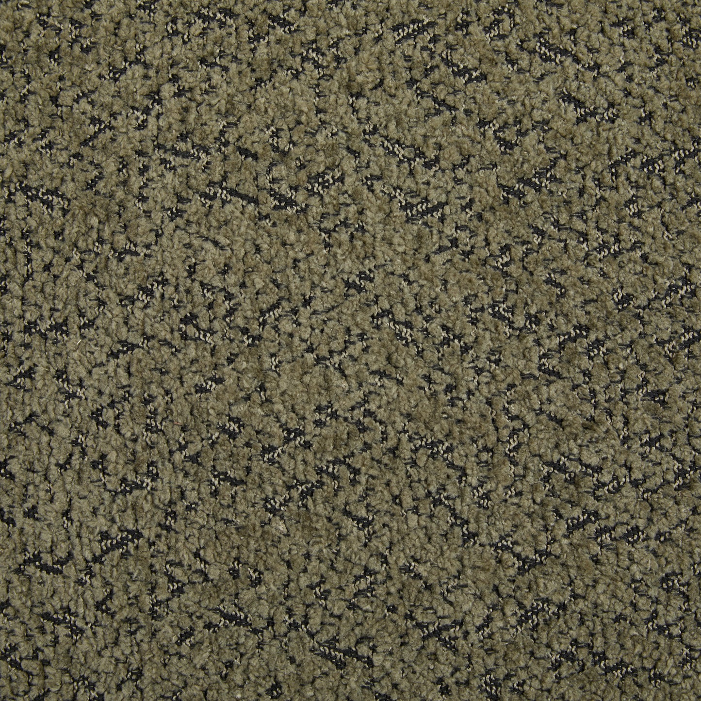 24840012