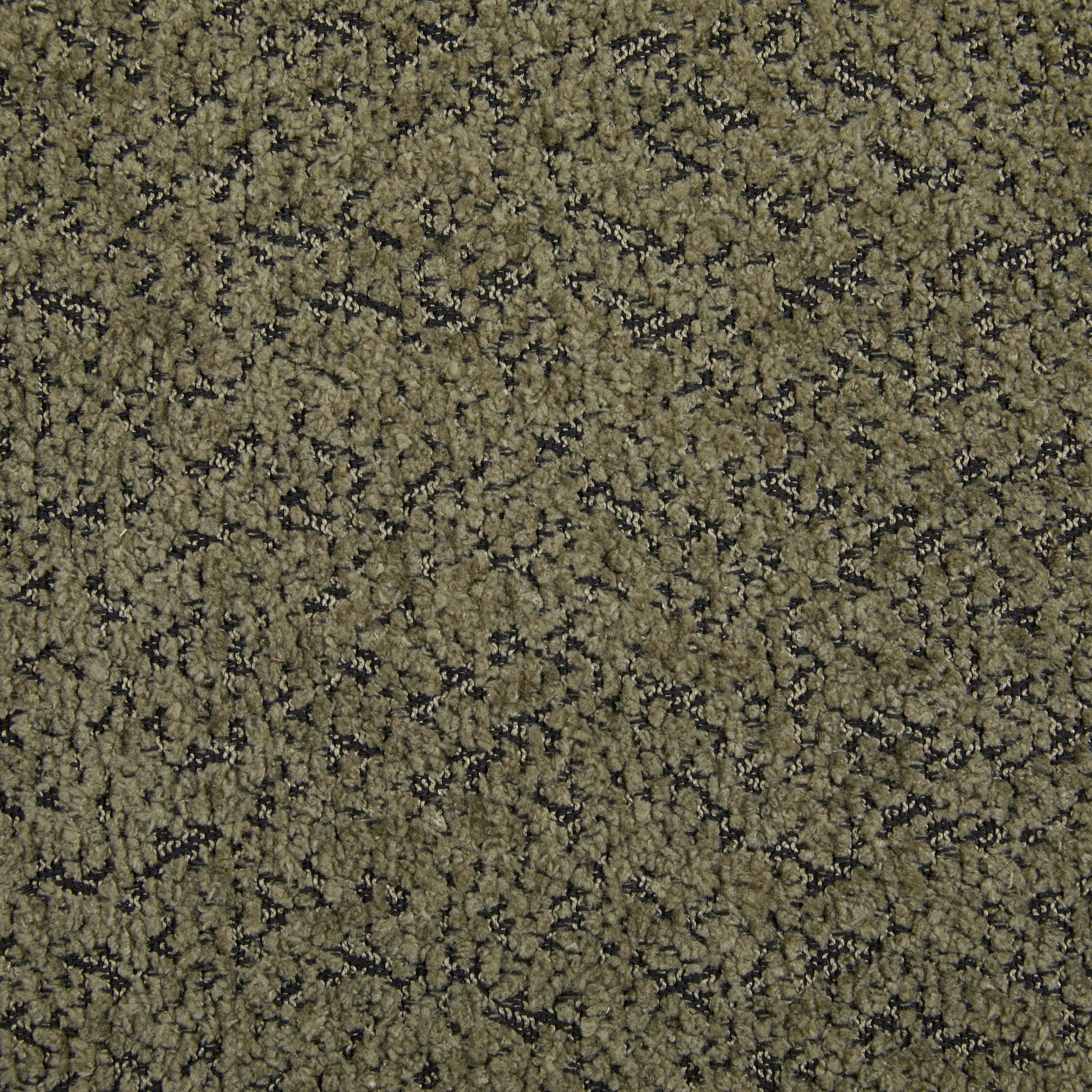 24840012