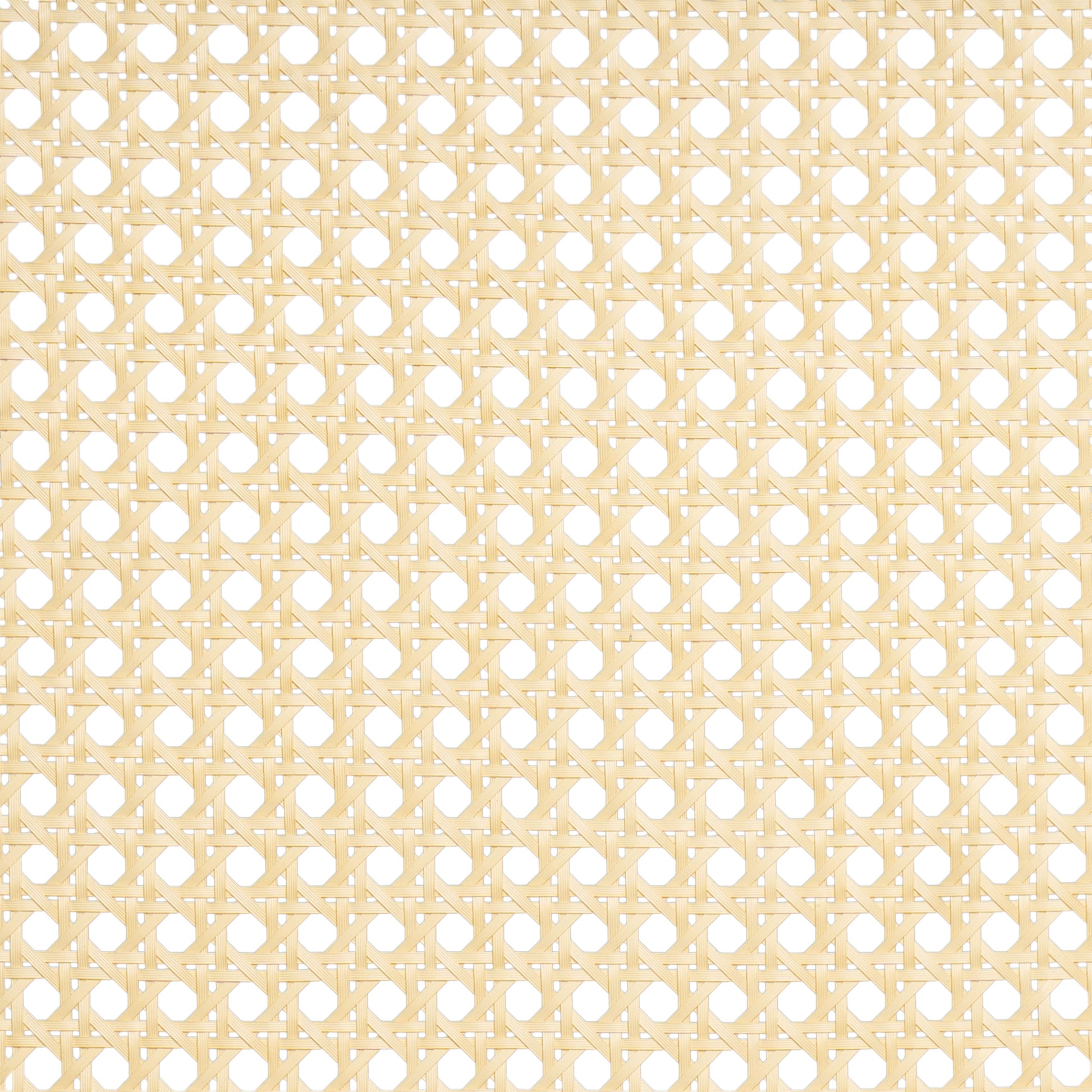 23077692