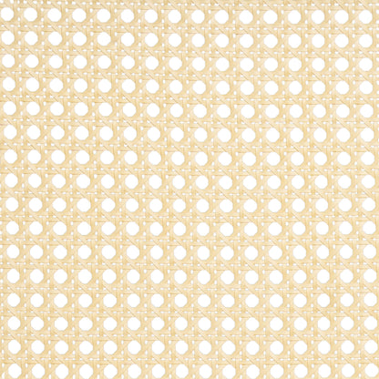 23077692