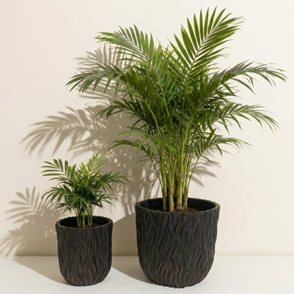 Caldera Sculpted Wave Planter Set of 2