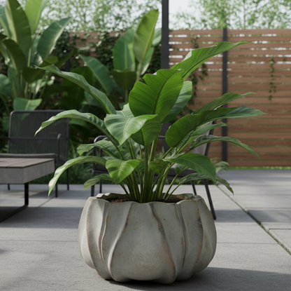 Arlow Sculptural Terracotta Planter