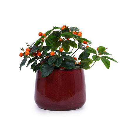 Roux Glazed Ceramic Planter Set