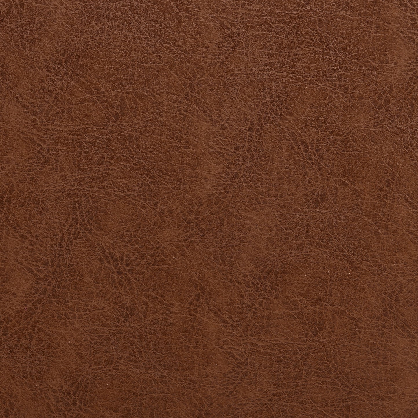 Marin Upholstered Bench – Sculpted Wood Base