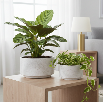 Oryn Speckled Planter Set