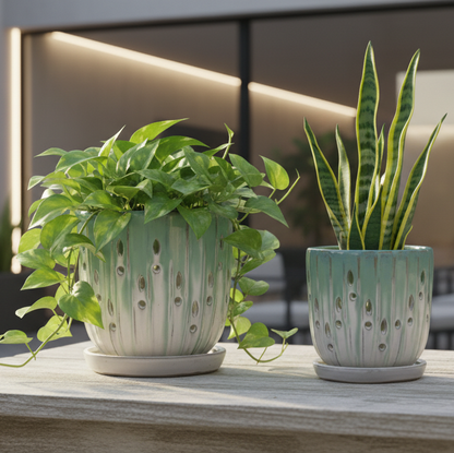 Siena Carved Ceramic Planter Set, Green