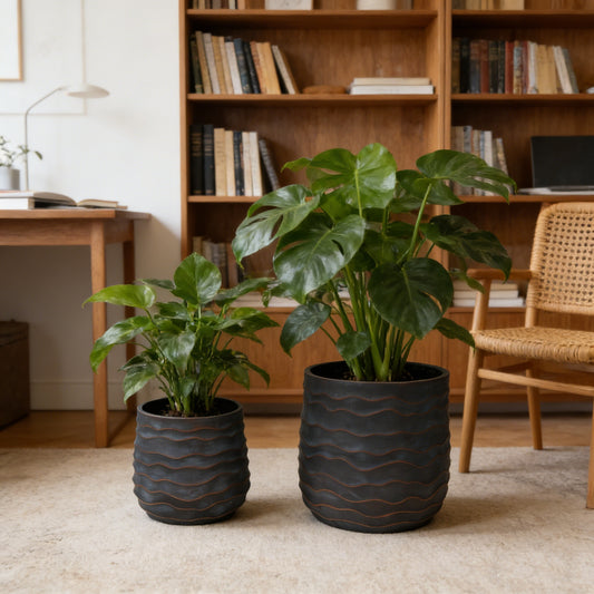 Avero Textured Planter Set