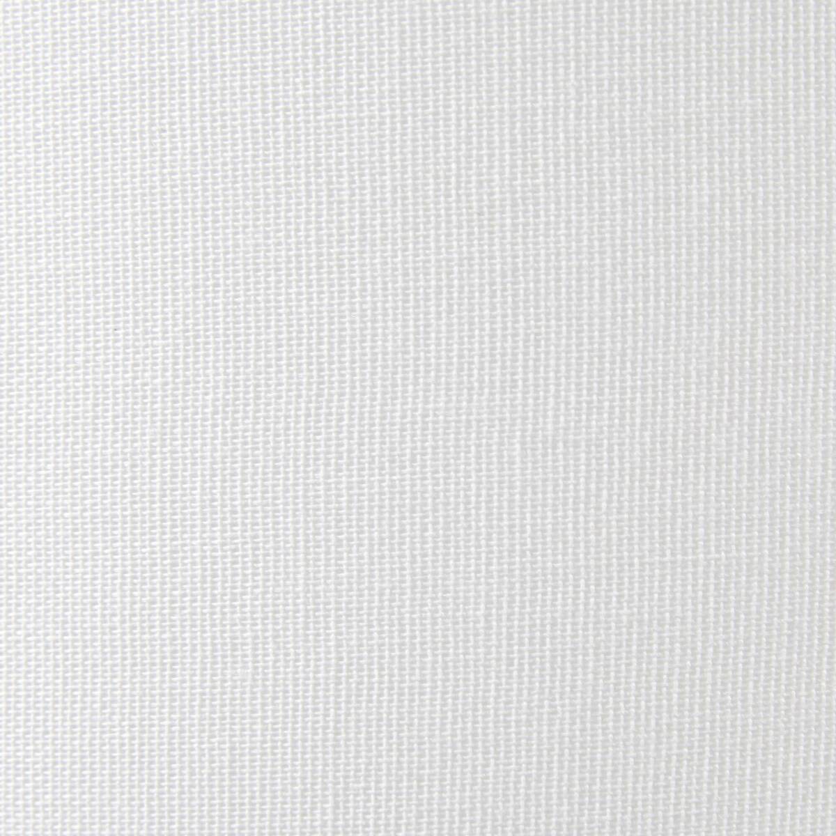 23022469