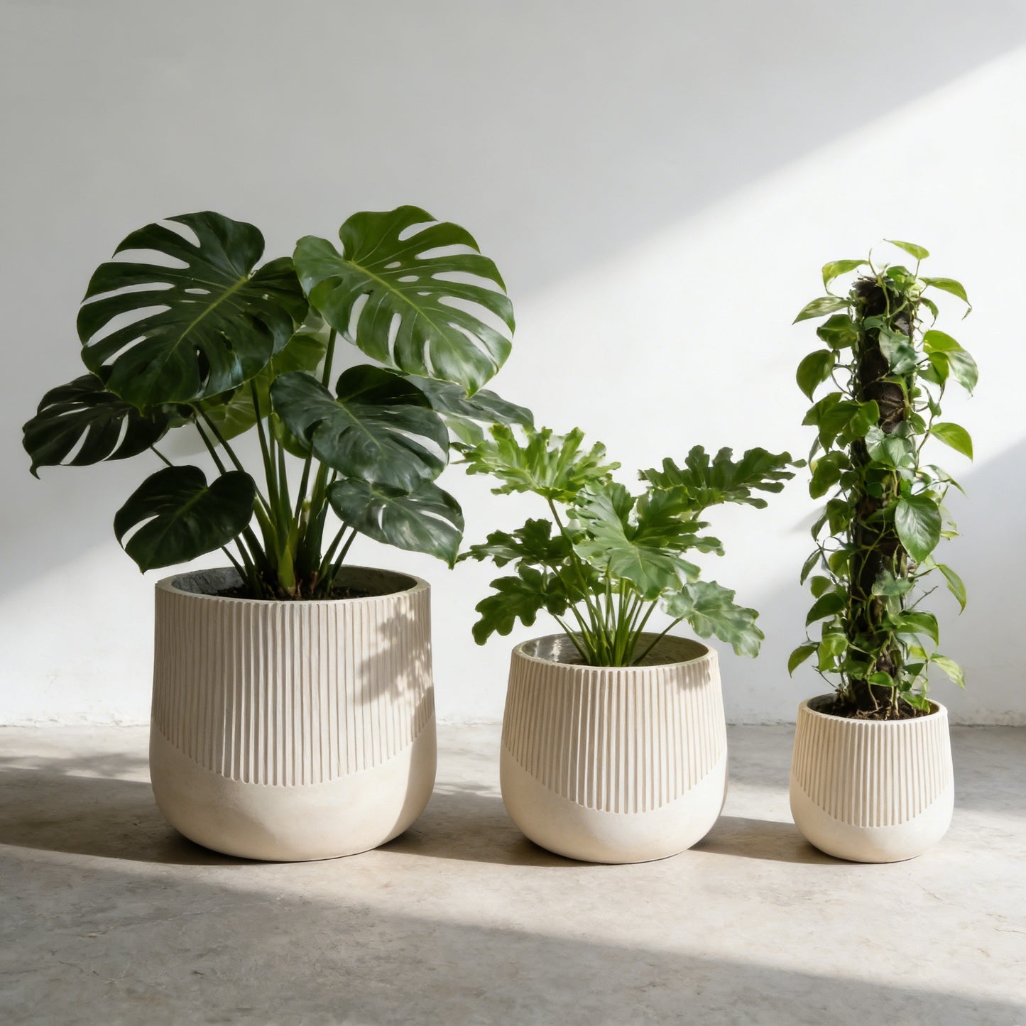 Solenne Ribbed Planter Set of 3