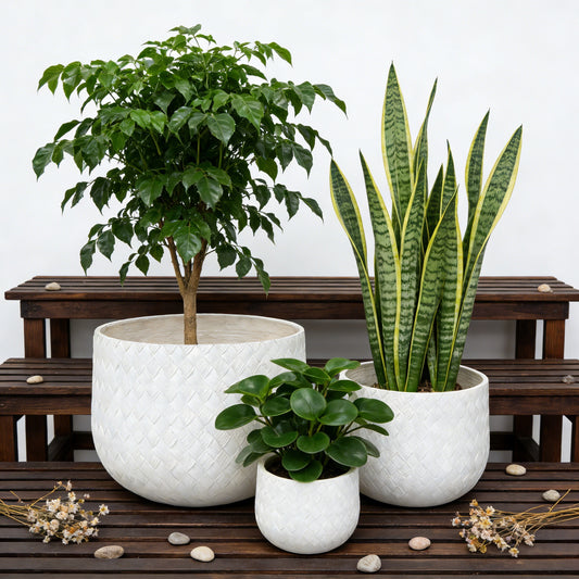 Arden Woven Texture Planter Set of 3