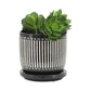 Vertical Lines Planters, Set of 2