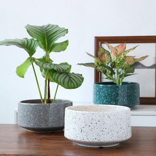 Low Bowl Ceramic Plant Pot