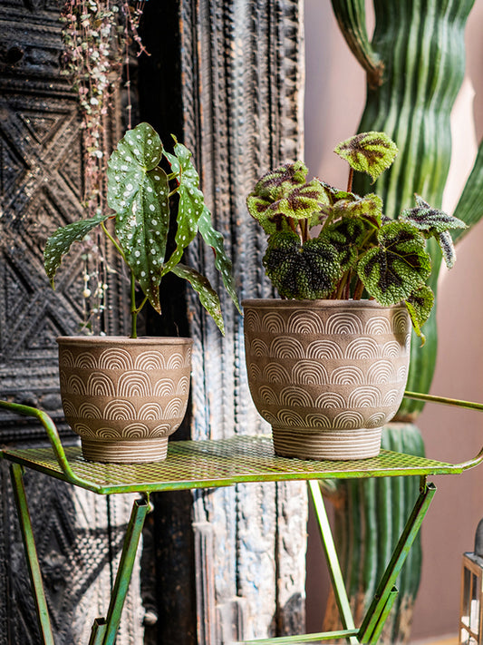 Bohemian Terracotta Plant Pot